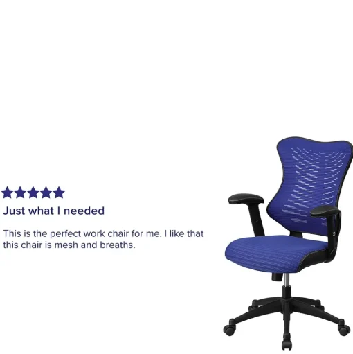 Flash Furniture Office Chairs<Kale Ergonomic Mesh Swivel High Back Executive Office Chair, Blue (BLZP806BL)