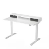 FlexiSpot Standing Desks<EC9W Series 48" W Electric Adjustable Standing Desk, White (EC9WDO04W)