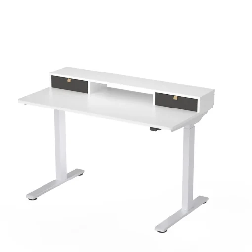 FlexiSpot Standing Desks<EC9W Series 48" W Electric Adjustable Standing Desk, White (EC9WDO04W)