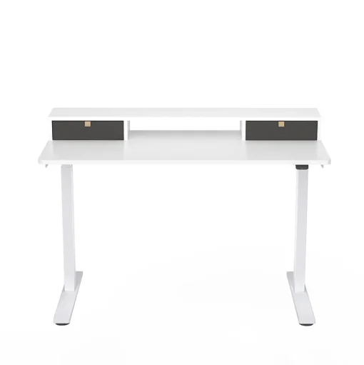 FlexiSpot Standing Desks<EC9W Series 48" W Electric Adjustable Standing Desk, White (EC9WDO04W)