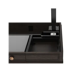 FlexiSpot Standing Desks<48"W Electric Adjustable Standing Desk, Brown (UD5B-OFF)