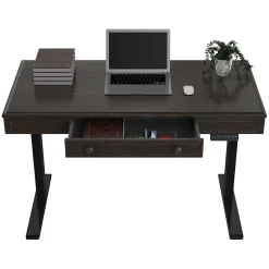 FlexiSpot Standing Desks<48"W Electric Adjustable Standing Desk, Brown (UD5B-OFF)
