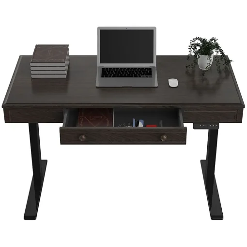FlexiSpot Standing Desks<48"W Electric Adjustable Standing Desk, Brown (UD5B-OFF)