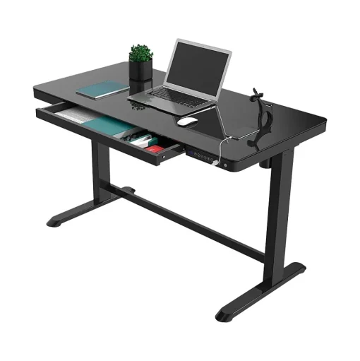 FlexiSpot Standing Desks<48"W Electric Adjustable Glass Top Standing Desk, Black (EG8B-E)