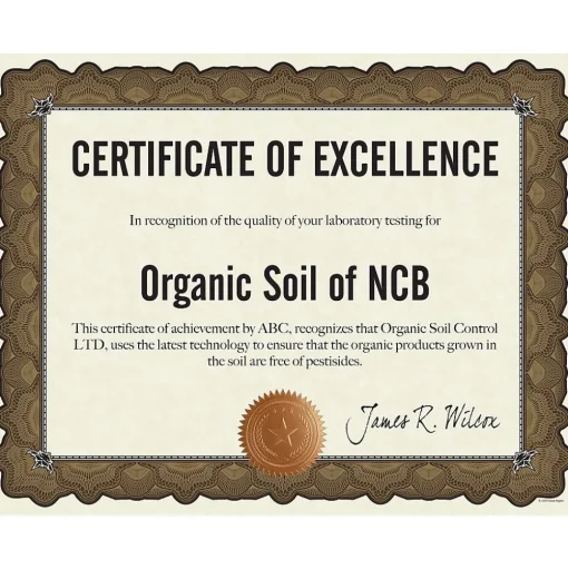 Great Papers Awards & Certificates<Cambridge Certificates, 8.5" x 11", Beige/Gold, 10/Pack (2020004)