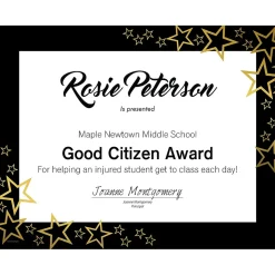 Great Papers Awards & Certificates<Star Search Certificates, 8.5" x 11", White/Black/Gold, 15/Pack (2020001)