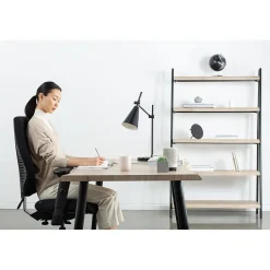 Gry Mattr Office Chairs<+ ergoCentric airCentric3 Task Chair, Extra Long Seat, Black (AIR3STXL)