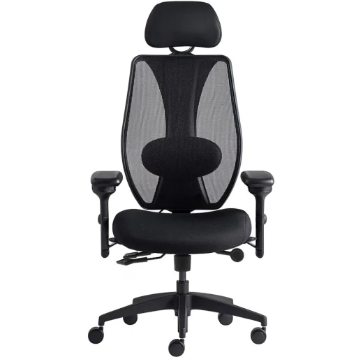 Gry Mattr Office Chairs<+ ergoCentric sCentric Hybrid Task Chair, Black (sCentricST)