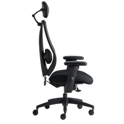 Gry Mattr Office Chairs<+ ergoCentric sCentric Hybrid Task Chair, Black (sCentricST)