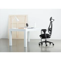 Gry Mattr Office Chairs<+ ergoCentric sCentric Hybrid Task Chair, Black (sCentricST)