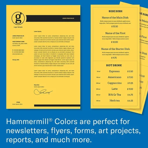 Hammermill Multipurpose Paper<8.5" x 11" Color Multipurpose Paper, 20 lbs. Goldenrod, 5000 Sheets/Ream (HAM103168CT)