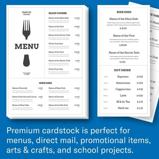 Hammermill Card Stock<Premium 110 lb. Cardstock Paper, 8.5" x 11", White, 200 Sheets/Ream (168380R)