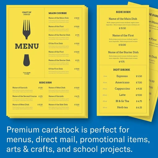 Hammermill Card Stock<Premium 110 lb. Cardstock Paper, 8.5" x 11", Blue/Green/Red/Yellow, 200 Sheets/Ream (168390R)