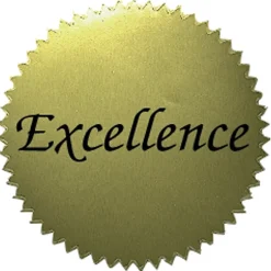 Flipside Awards & Certificates<Hayes Publishing Excellence 2" Gold Certificate Seals, 50 Per Pack, 6 Packs (H-VA314-6)