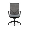 HON Office Chairs<Flexion Fabric/Mesh Task Chair, Basalt/Black (HFXT1.F0.STC.A.H.IM.APX25.NL.SB.T)