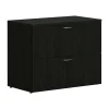 HON File Cabinets<Mod 2-Drawer Lateral File Cabinet, Letter/Legal Size, Lockable, 29"H x 36"W x 20"D, Java Oak (HLPLLF3620L2.LJA1)