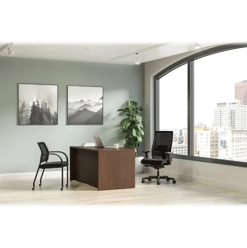 HON Computer Desks<Mod 60"W x 30"D Single-Pedestal Desk, (HLPLDS60PSSE1)