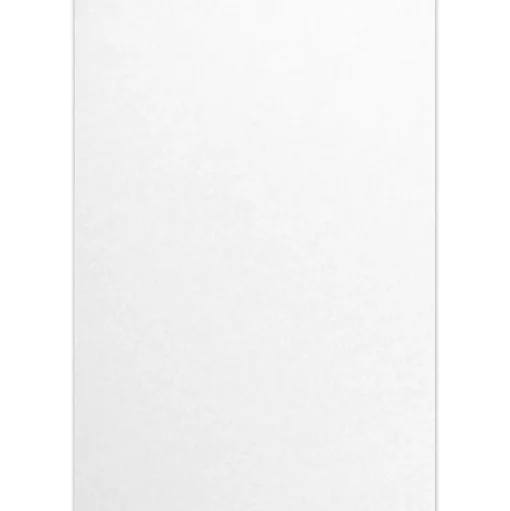 JAM Paper Card Stock<13" x 19" Cardstock, Crystal Metallic, 50/pack (1319-C-M30-50)
