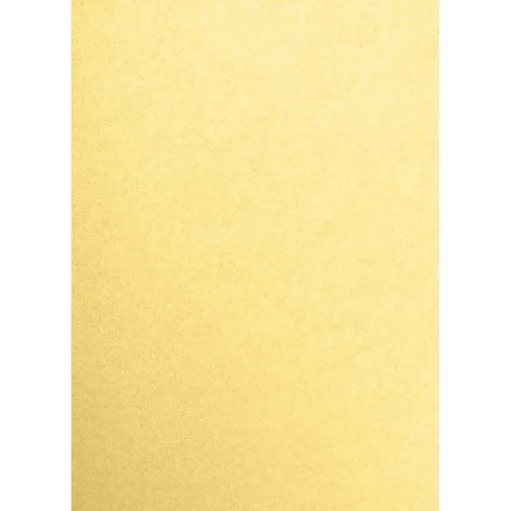 JAM Paper Card Stock<13" x 19" Cardstock, Gold Metallic, 50/pack (1319-C-M40-50)