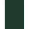 JAM Paper Card Stock<11" x 17" Cardstock, 100lb, Green Linen, 50/pack (1117-C-GNLI-50)