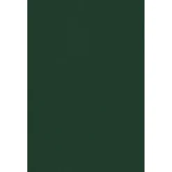 JAM Paper Card Stock<11" x 17" Cardstock, 100lb, Green Linen, 50/pack (1117-C-GNLI-50)