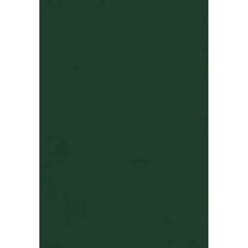 JAM Paper Card Stock<11" x 17" Cardstock, 100lb, Green Linen, 50/pack (1117-C-GNLI-50)