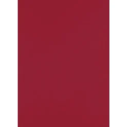 JAM Paper Card Stock<13" x 19" Cardstock, 100lb, Garnet, 50/pack (1319-C-26-50)