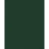 JAM Paper Card Stock<8.5" x 11" Color Cardstock, Green Linen, 50/pack (81211-C-GNLI-50)