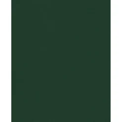 JAM Paper Card Stock<8.5" x 11" Color Cardstock, Green Linen, 50/pack (81211-C-GNLI-50)
