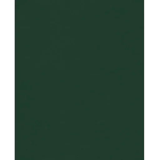 JAM Paper Card Stock<8.5" x 11" Color Cardstock, Green Linen, 50/pack (81211-C-GNLI-50)