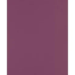 JAM Paper Multipurpose Paper<8.5" x 11" Color Multipurpose Paper, 80 lbs., Vintage Plum, 50 Sheets/Ream (81211-P-197-50)