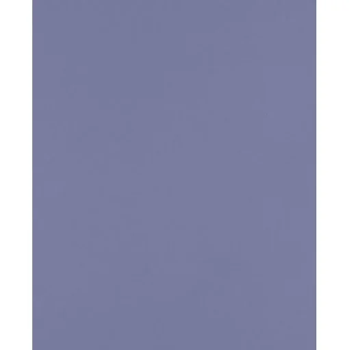 JAM Paper Multipurpose Paper<8.5" x 11" Color Multipurpose Paper, 80 lbs., Wisteria Purple, 50 Sheets/Ream (81211-P-106-50)