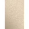 JAM Paper Multipurpose Paper<11" x 17" Color Multipurpose Paper, 80 lbs., Taupe Metallic, 50 Sheets/Ream (1117-P-M09-50)
