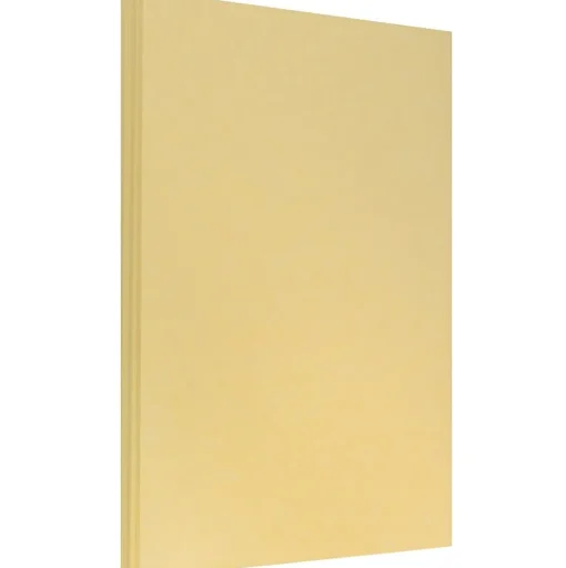 JAM Paper Multipurpose Paper<8.5" x 14" Color Multipurpose Paper, 24 lbs., Antique Gold Parchment, 500 Sheets/Ream (17132140B)