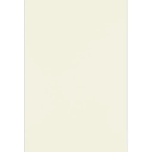 JAM Paper Multipurpose Paper<11" x 17" Multipurpose Paper, 70 lbs., Natural, 50/Pack (1117-P-01-50)