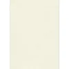 JAM Paper Multipurpose Paper<13" x 19" Multipurpose Paper 80 lbs., Natural Linen, 50 Sheets/Ream /Pack (1319-P-NLI-50)