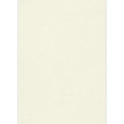 JAM Paper Multipurpose Paper<13" x 19" Multipurpose Paper 80 lbs., Natural Linen, 50 Sheets/Ream /Pack (1319-P-NLI-50)