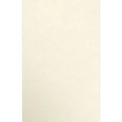 JAM Paper Multipurpose Paper<8.5" x 14" Multipurpose Paper, 80 lb., Champagne Metallic, 50/Pack (81214-P-M08-50)