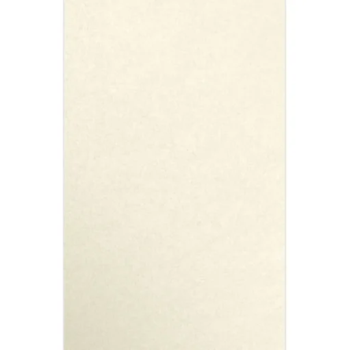 JAM Paper Multipurpose Paper<8.5" x 14" Multipurpose Paper, 80 lb., Champagne Metallic, 50/Pack (81214-P-M08-50)