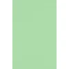 JAM Paper Multipurpose Paper<11" x 17" Multipurpose Paper, 60 lbs., Pastel Green, 50/Pack (1117-P-67-50)