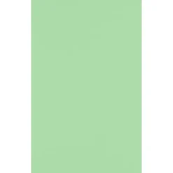 JAM Paper Multipurpose Paper<11" x 17" Multipurpose Paper, 60 lbs., Pastel Green, 50/Pack (1117-P-67-50)