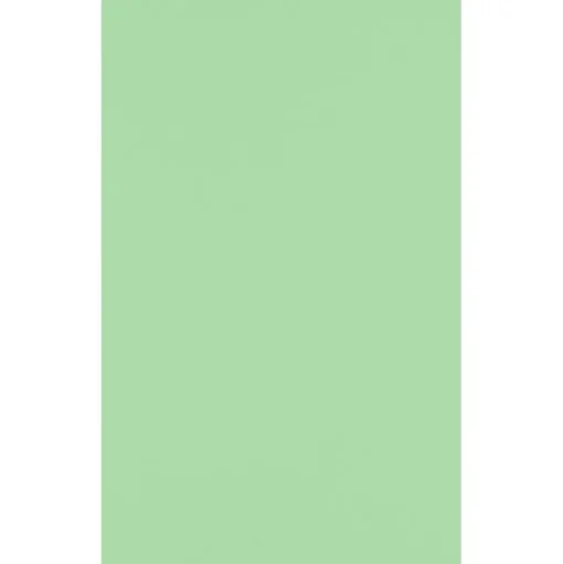 JAM Paper Multipurpose Paper<11" x 17" Multipurpose Paper, 60 lbs., Pastel Green, 50/Pack (1117-P-67-50)