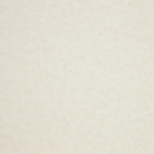 JAM Paper Card Stock<Parchment 65 lb. Cardstock Paper, 8.5" x 11", Light Brown, 50 Sheets/Pack (96700100)