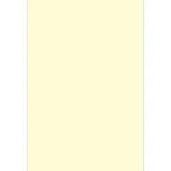 JAM Paper Card Stock<Strathmore 80 lb. Cardstock Paper, 8.5" x 14", Ivory White Wove, 50 Sheets/Pack (17428906)