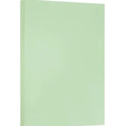 JAM Paper Card Stock<® Vellum Bristol 67lb Cardstock, 11 x 17 Tabloid Coverstock, Green, 50 Sheets/Pack (16932836)