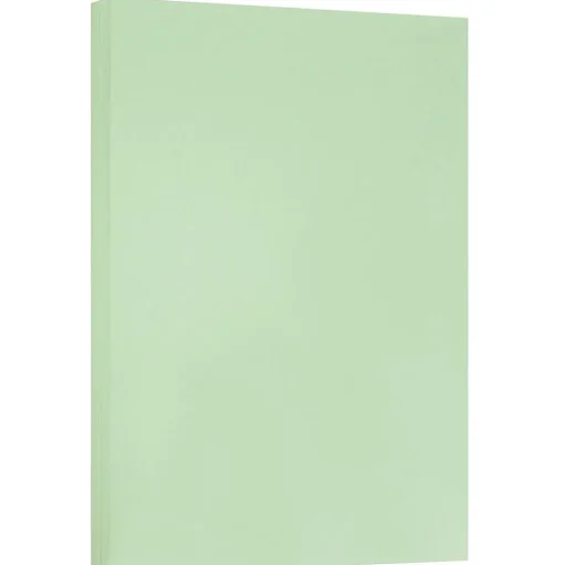 JAM Paper Card Stock<® Vellum Bristol 67lb Cardstock, 11 x 17 Tabloid Coverstock, Green, 50 Sheets/Pack (16932836)
