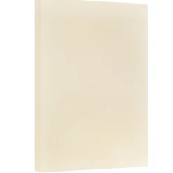 JAM Paper Card Stock<® Vellum Bristol 67lb Cardstock, 11 x 17 Tabloid Coverstock, Ivory, 50 Sheets/Pack (16932837)