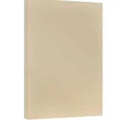 JAM Paper Card Stock<Vellum Bristol Cardstock Paper, 67 lbs., 11" x 17", Tan, 50 Sheets/Pack (16932840)