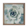 Kate & Laurel Bulletin<F2 Images Succulent 7 Cork Bulletin Board, Gold Frame, 1' x 1' (222048)