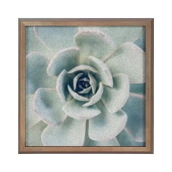 Kate & Laurel Bulletin<F2 Images Succulent 7 Cork Bulletin Board, Gold Frame, 1' x 1' (222048)